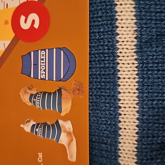 DOG OR CAT PET SWEATER. NIB Turquoise with the words "SPOILED" on it. Small - Picture 5 of 9